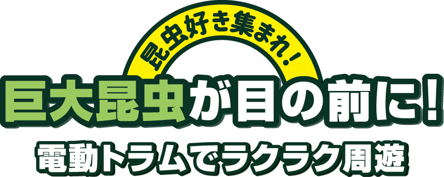 巨大昆虫が目の前に！電動トラムでラクラク周遊